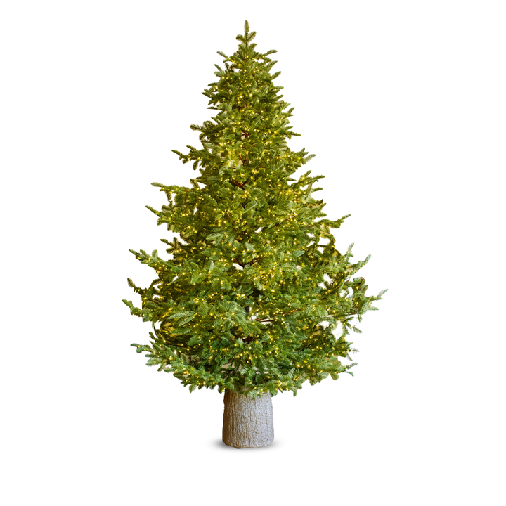 Albero di Natale Rockefeller Led by Salvatore Izzo