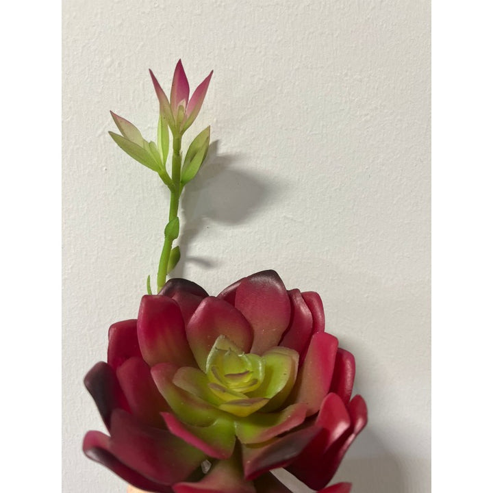 Fiore artificiale Aeonium Chic h27cm EDG