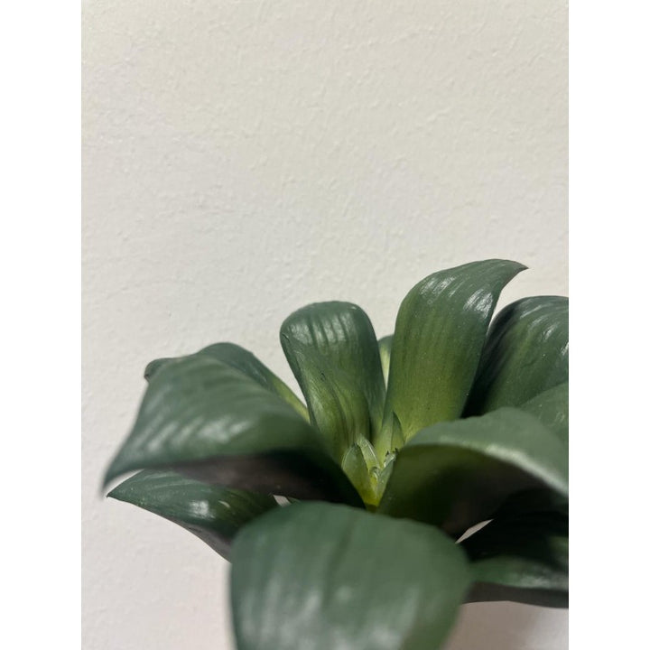 Pianta artificiale Agave Bell Pick 16h cm EDG