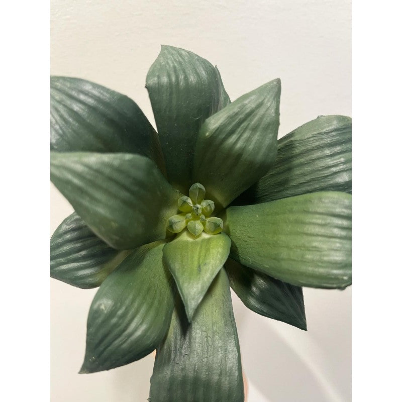 Pianta artificiale Agave Bell Pick 16h cm EDG