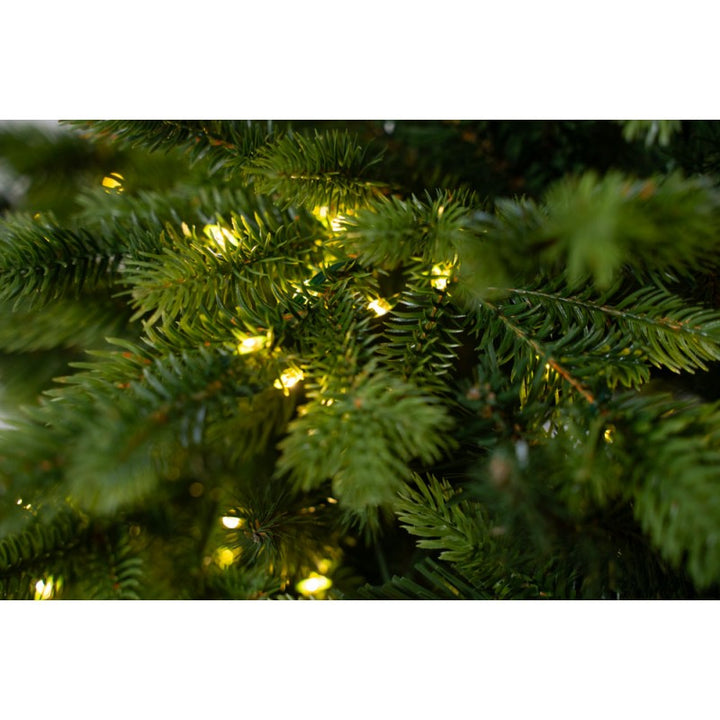 Albero Di Natale Darsy Led Con Tronco Integrato| Xone