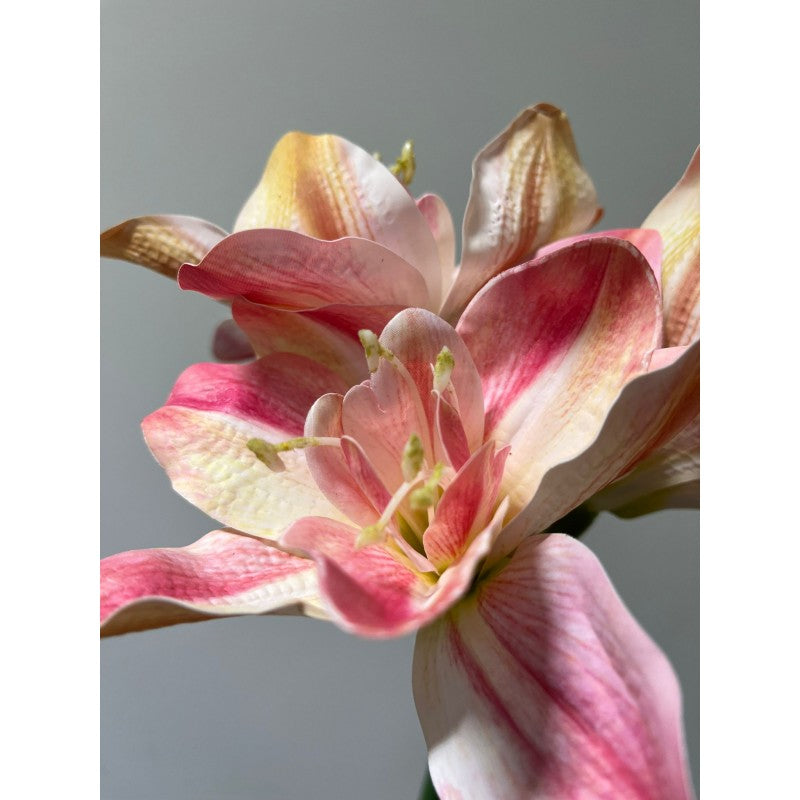 Fiore Amaryllis artificiale 60h cm EDG
