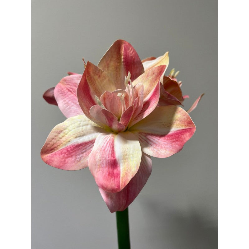 Fiore Amaryllis artificiale 60h cm EDG