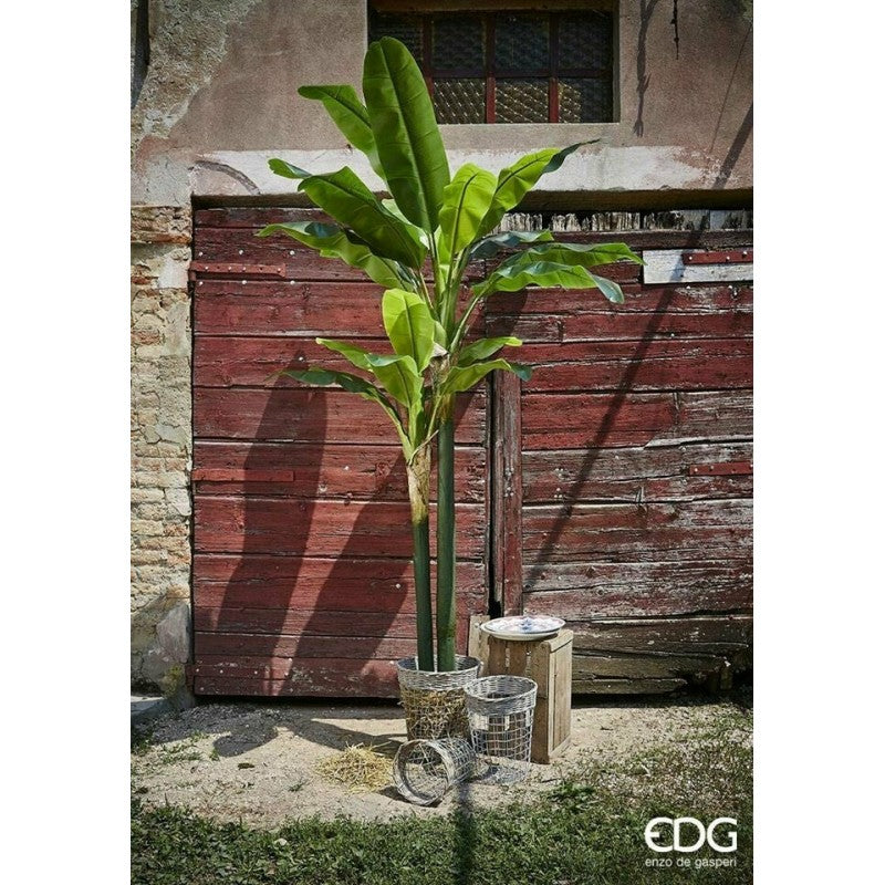 Pianta artificiale Banano con vaso EDG