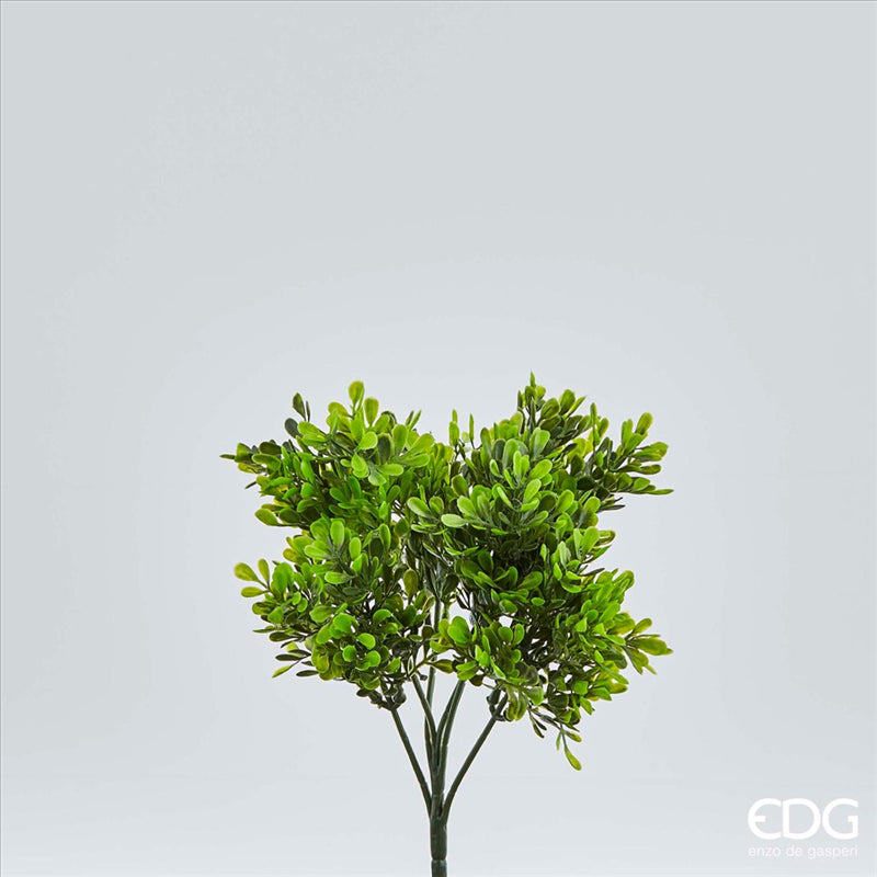 Pianta artificiale Bosso Chic 26h cm EDG