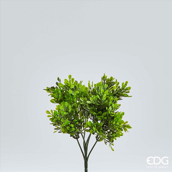 Pianta artificiale Bosso Chic 26h cm EDG