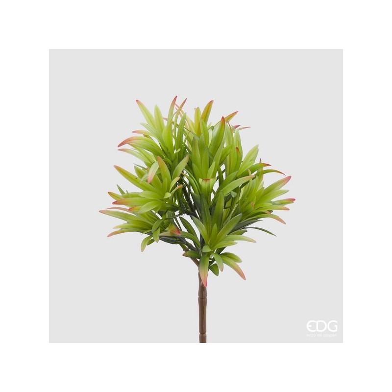 Pianta artificiale Crassula Bell Pick 26h cm EDG