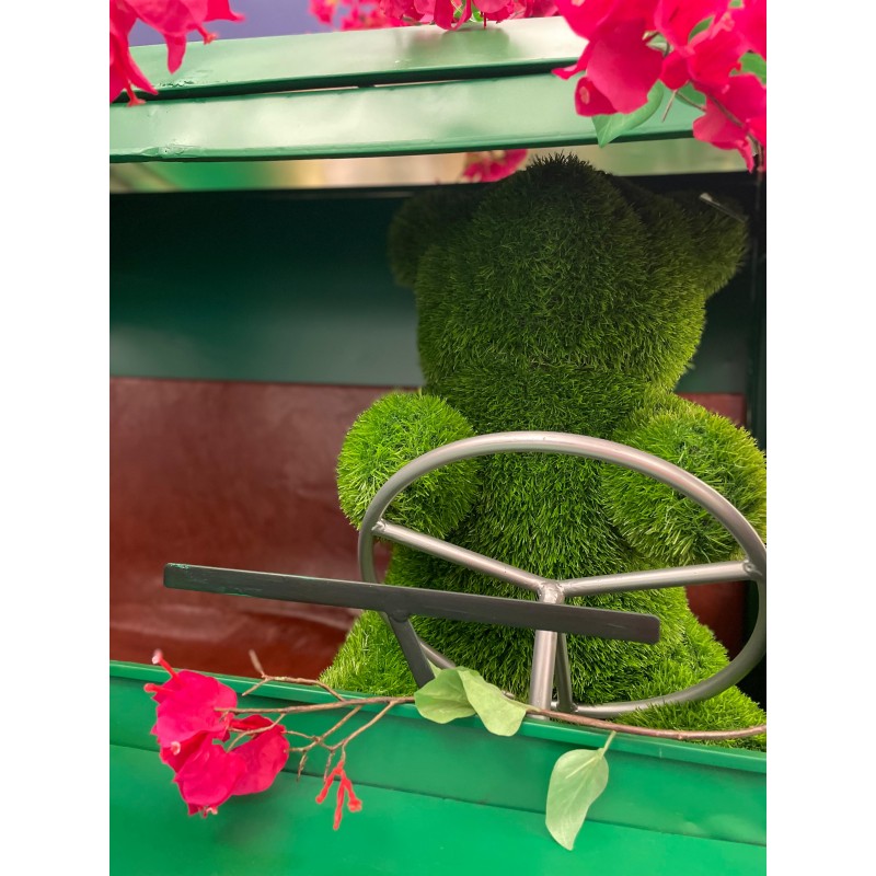 Decoro Erba Orso | Enzo De Gasperi