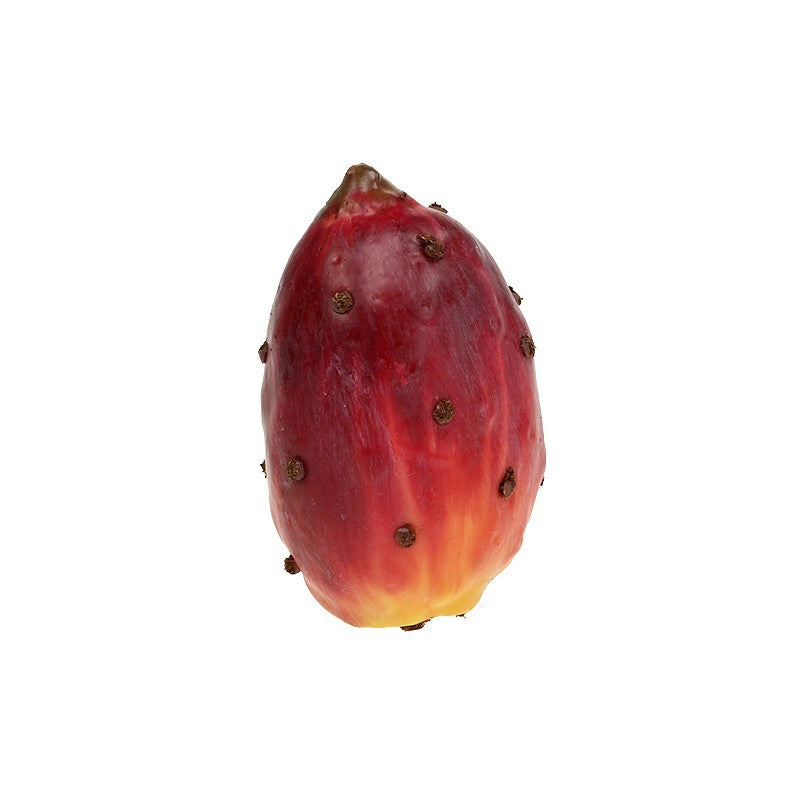 Fico D'India Duke artificiale  EDG