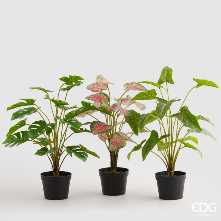 Piante artificiali in vaso 48h cm EDG