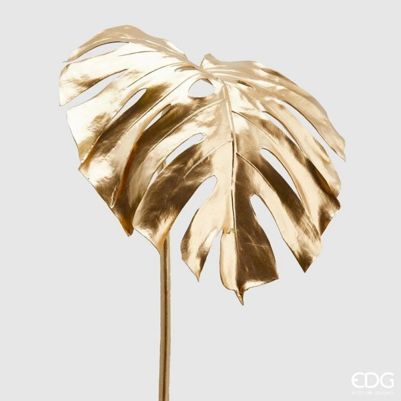 Foglia Monstera MeEDG | Enzo De Gasperi