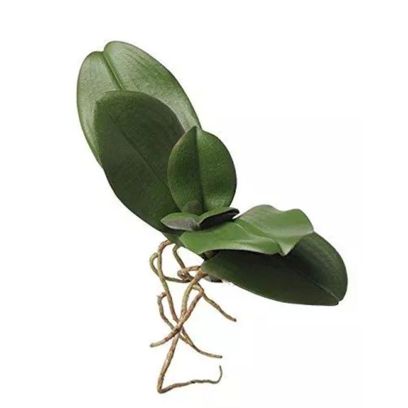 Foglie artificiali Phalaenopsis con radici 26h cm EDG