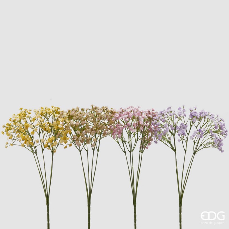 Gypsophila Cespuglio h40  | Enzo de Gasperi