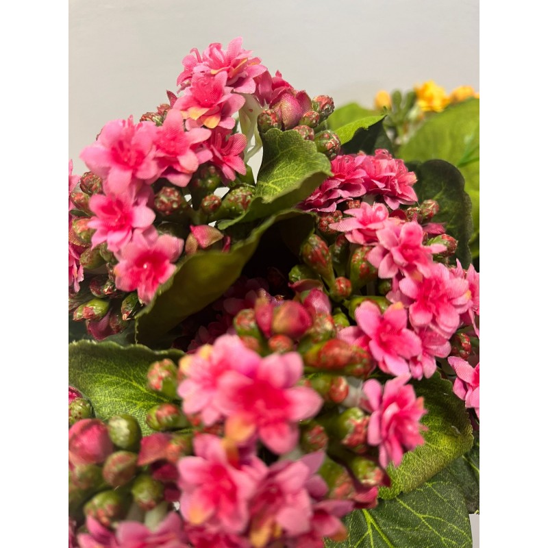 Pianta artificiale di Kalanchoe 20h cm EDG