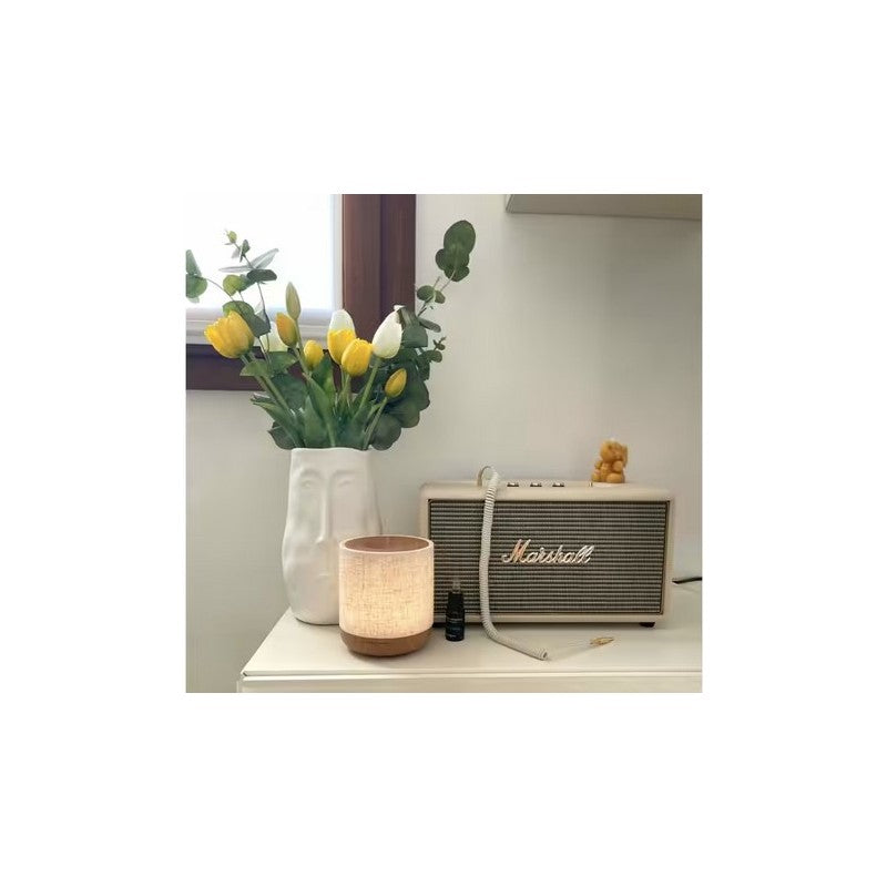 Diffusore ad Ultrasuoni per Oli Essenziali | EDG