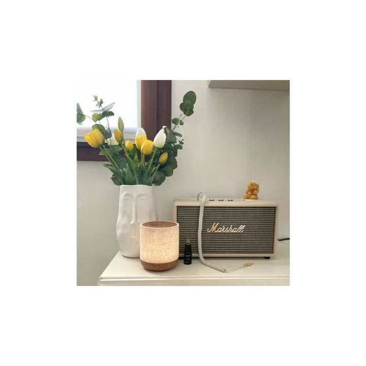 Diffusore ad Ultrasuoni per Oli Essenziali | EDG