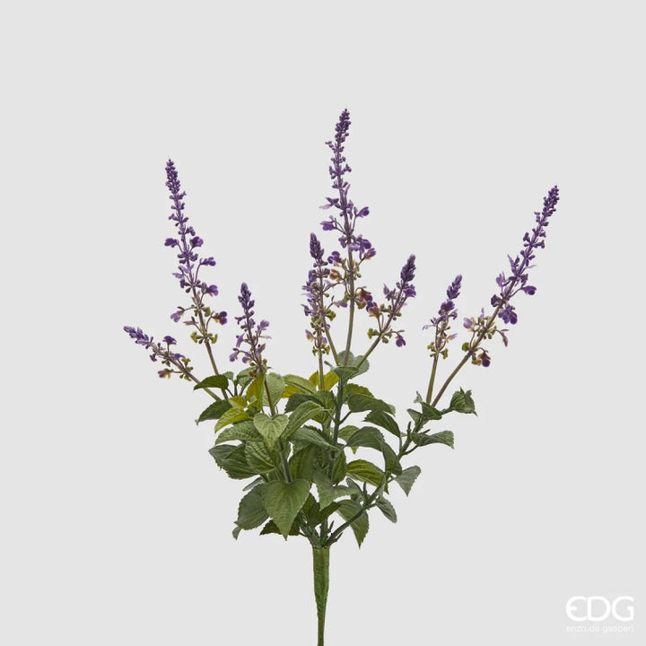 Mazzo di Lavanda con foglie| EDG