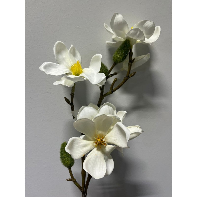 Ramo Magnolia artificiale Olis  38h cm EDG