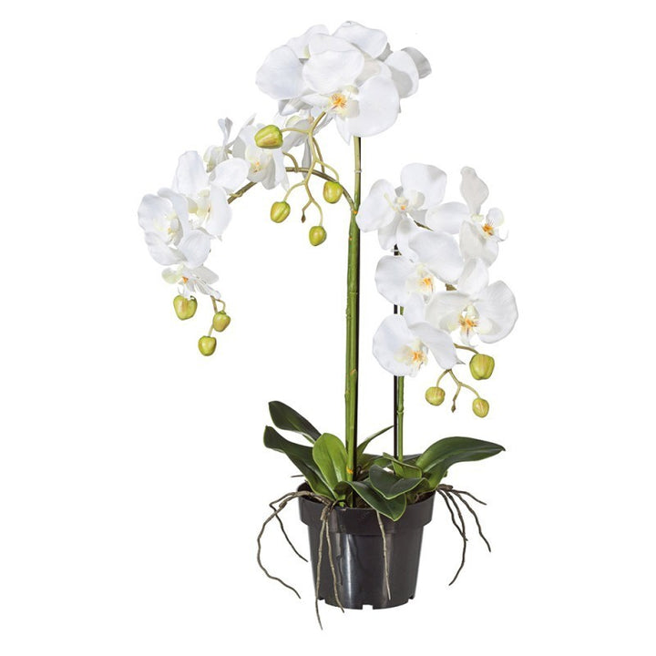 Orchidea artificiale in vaso 43h cm EDG