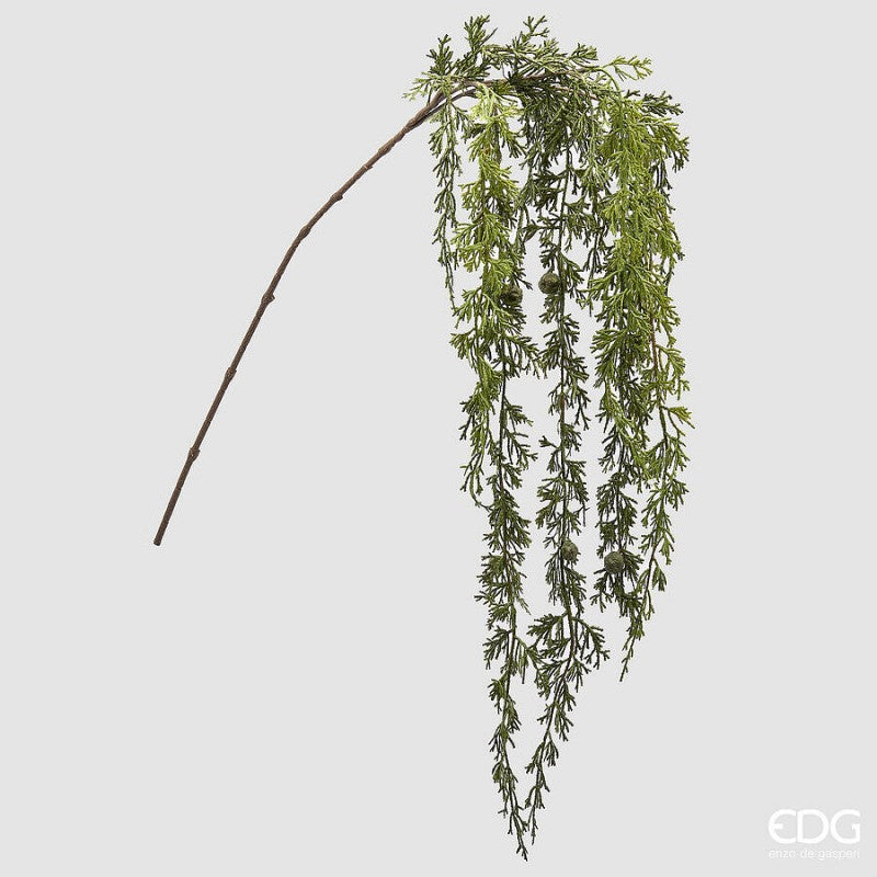 Pino Ramo Cadente H140 cm|EDG