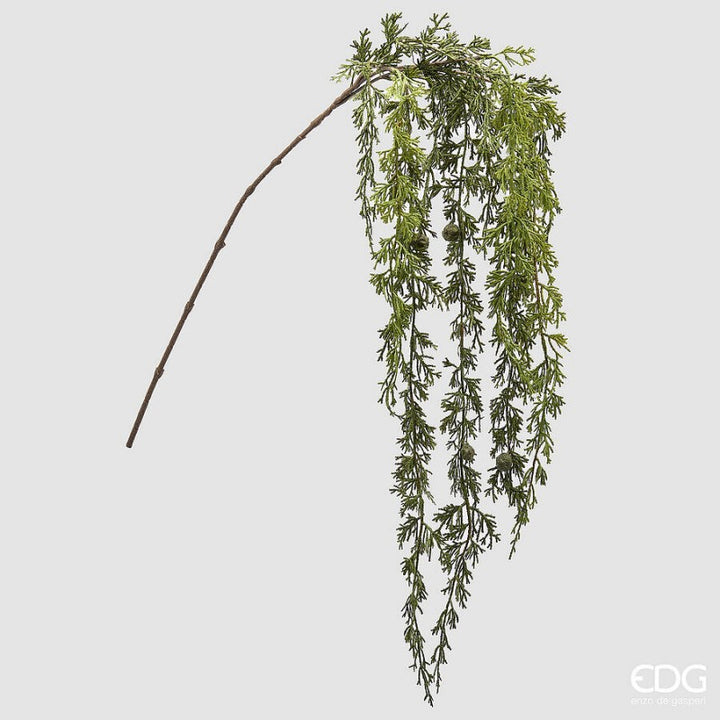 Pino Ramo Cadente H140 cm|EDG