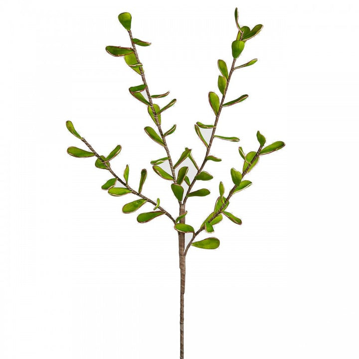 Ramo artificiale Pittosforo Vintage 108h cm EDG