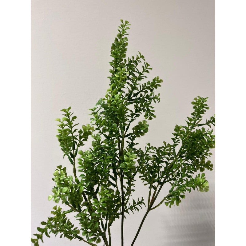 Pianta Prezzemolo Eden artificiale 64h cm EDG