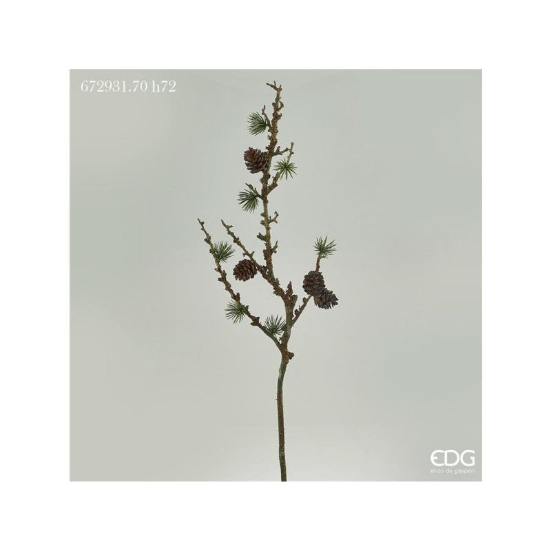 Ramo cedro con pigne h72cm green
