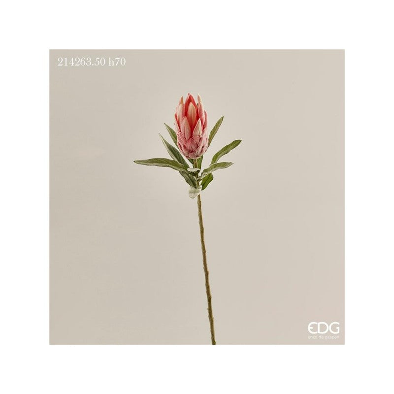 Ramo fiore artificiale Protea rex 70h cm EDG