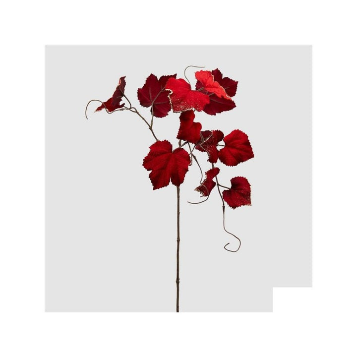 Ramo vite americana velluto rosso h 84| EDG