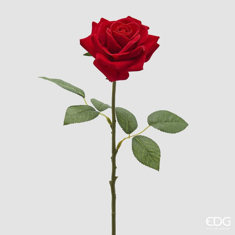 Rosa Velvet Ramo H.50 Rosso EDG