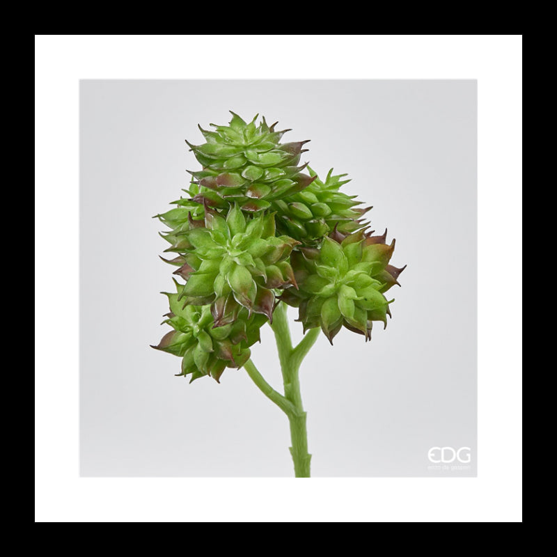 Pianta artificiale Sempervivum Eden 20h cm EDG