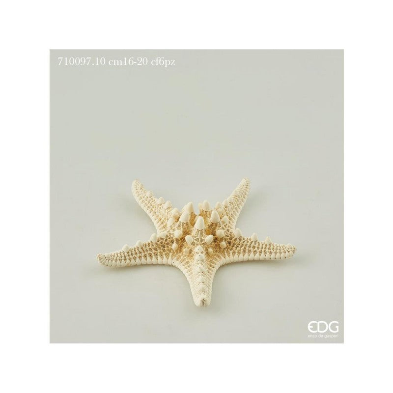 Stella marina cm. 16-20 bianco 6pz