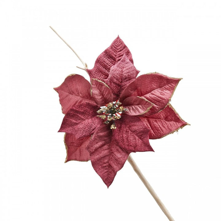 Stella di Natale Testa con Clip