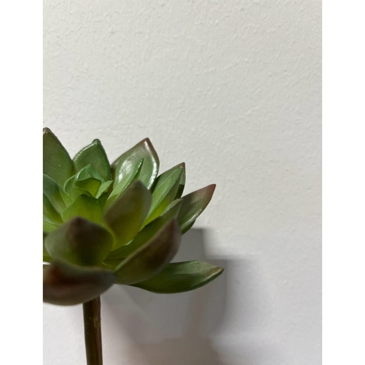 Pianta Succulent Pick artificiale14h cm/10⌀ cm EDG