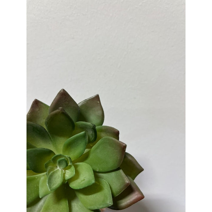 Pianta Succulent Pick artificiale14h cm/10⌀ cm EDG