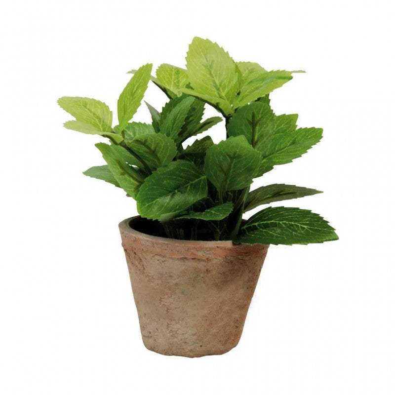 Vaso pianta artificiale Menta 18h cm EDG