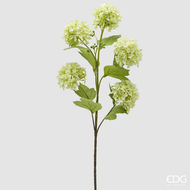 Viburno ramo con foglie H.80 | Enzo De Gasperi