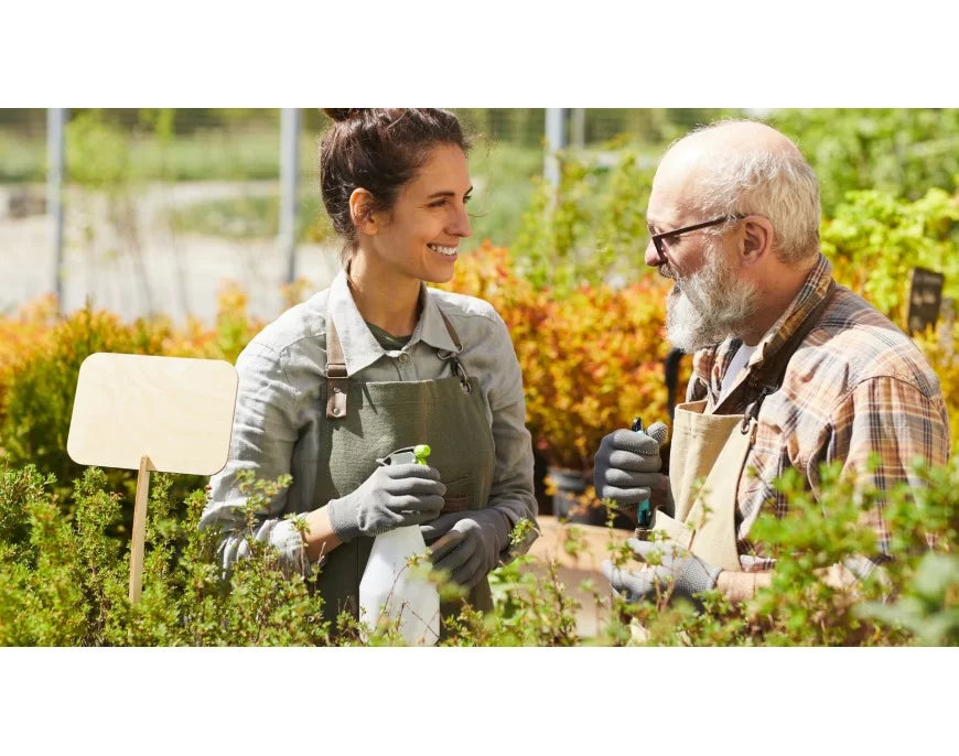 Proteggiti da insetti fastidiosi e goditi il tuo giardino
