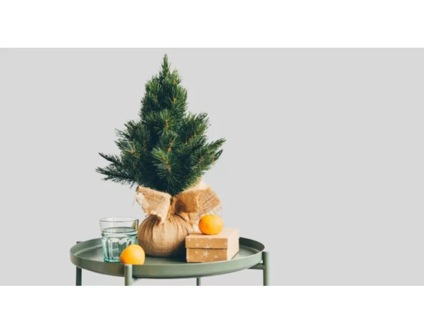 Mini alberi di Natale: idee per la decorazione in spazi ridotti