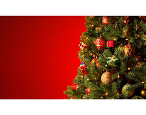 Albero di Natale slim o tradizionale? Quale scegliere