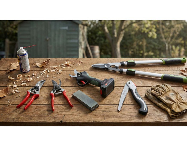 Potatura facile: gli strumenti indispensabili per preparare il giardino