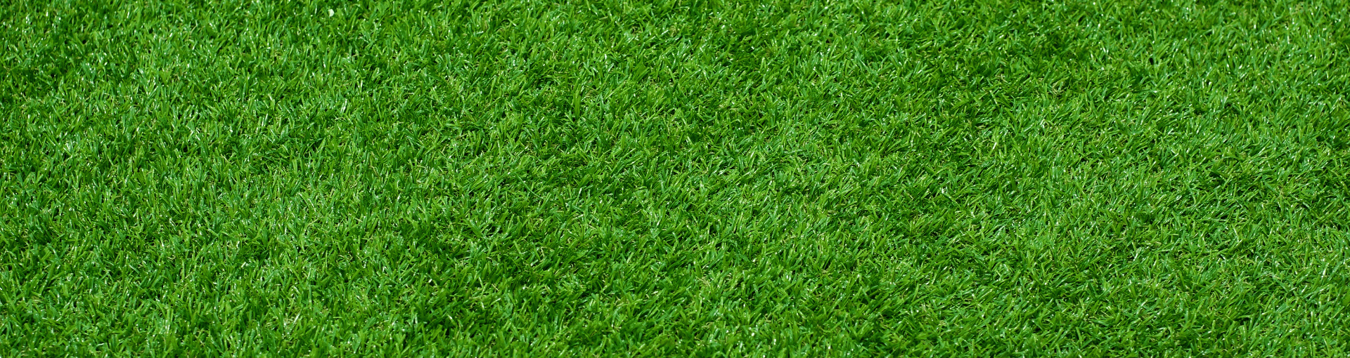 Prato - Siepi - Piante artificiali - Perrone Shop