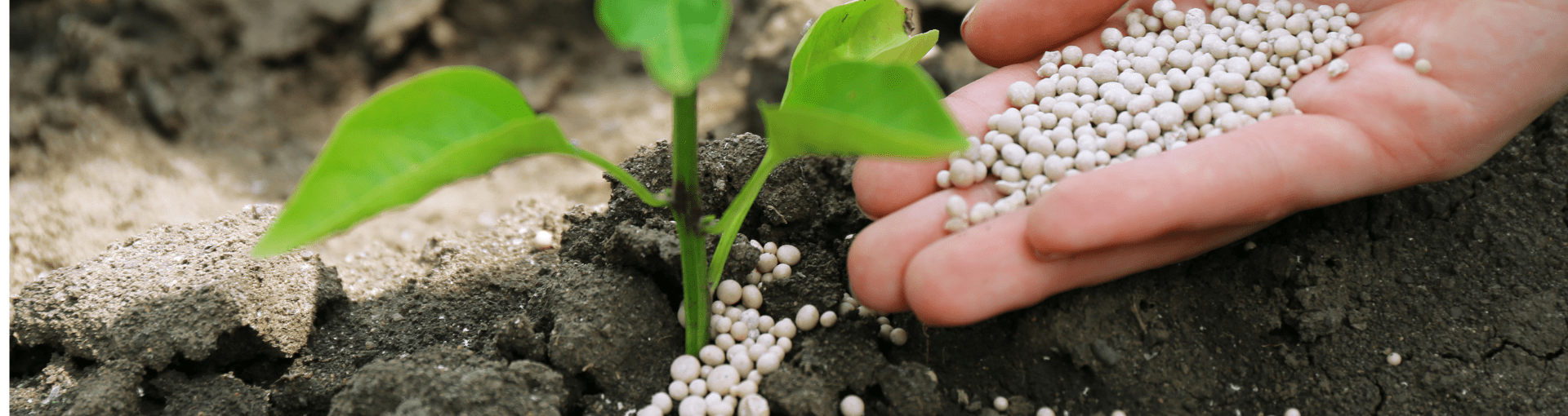 Concimi - Protezione piante - Perrone Shop