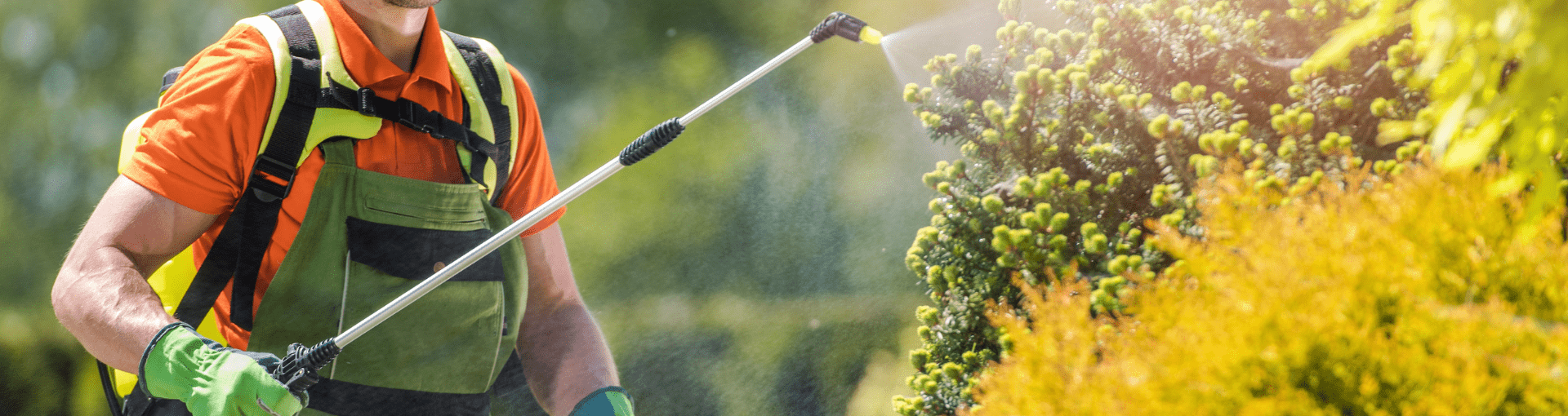 Insetticidi - topicidi - disabituanti - Perrone Shop