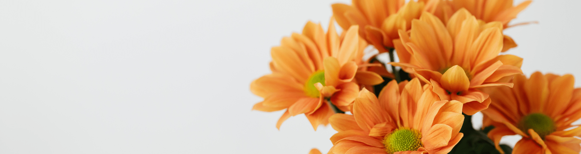 Fiori e piante artificiali - Perrone Shop