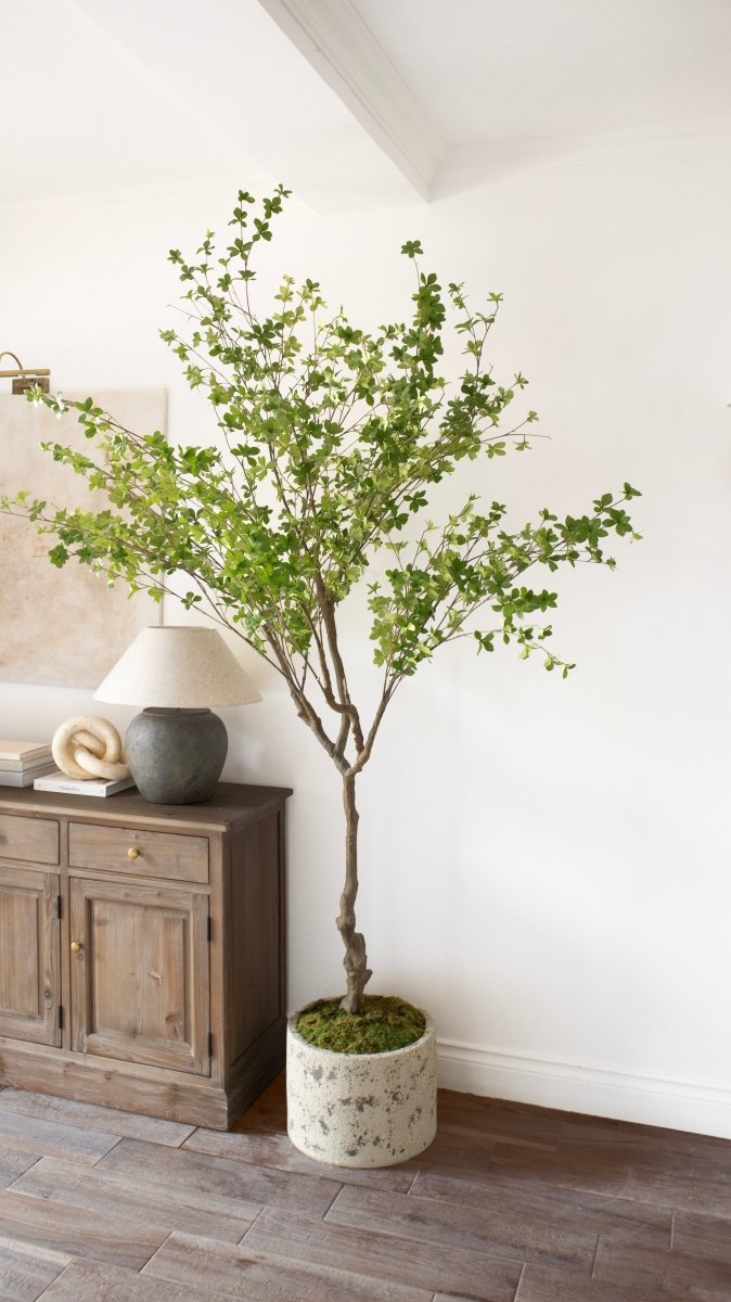 Pianta artificiale Shady Lady by Salvatore Izzo | Xone - Perrone Shop