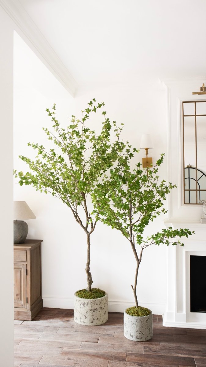Coprivaso Decorativo in Terracotta by Salvatore Izzo | Xone - Perrone Shop
