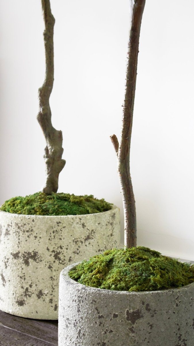 Coprivaso Decorativo in Terracotta by Salvatore Izzo | Xone - Perrone Shop