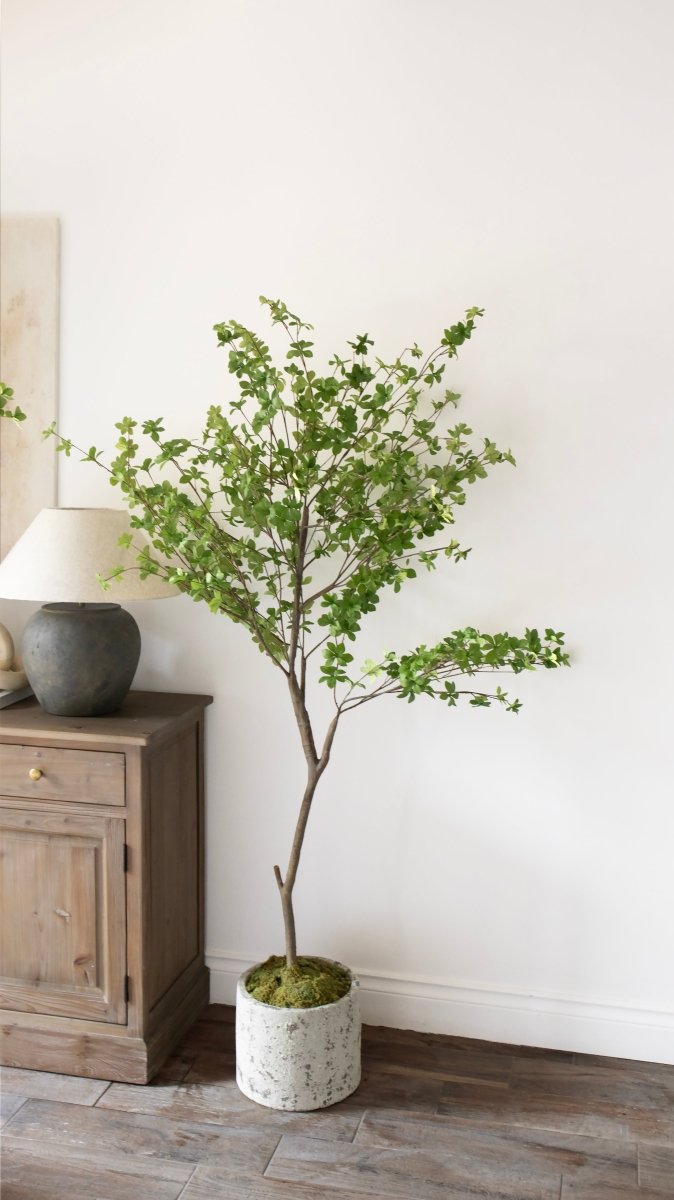 Pianta artificiale Shady Lady by Salvatore Izzo | Xone - Perrone Shop
